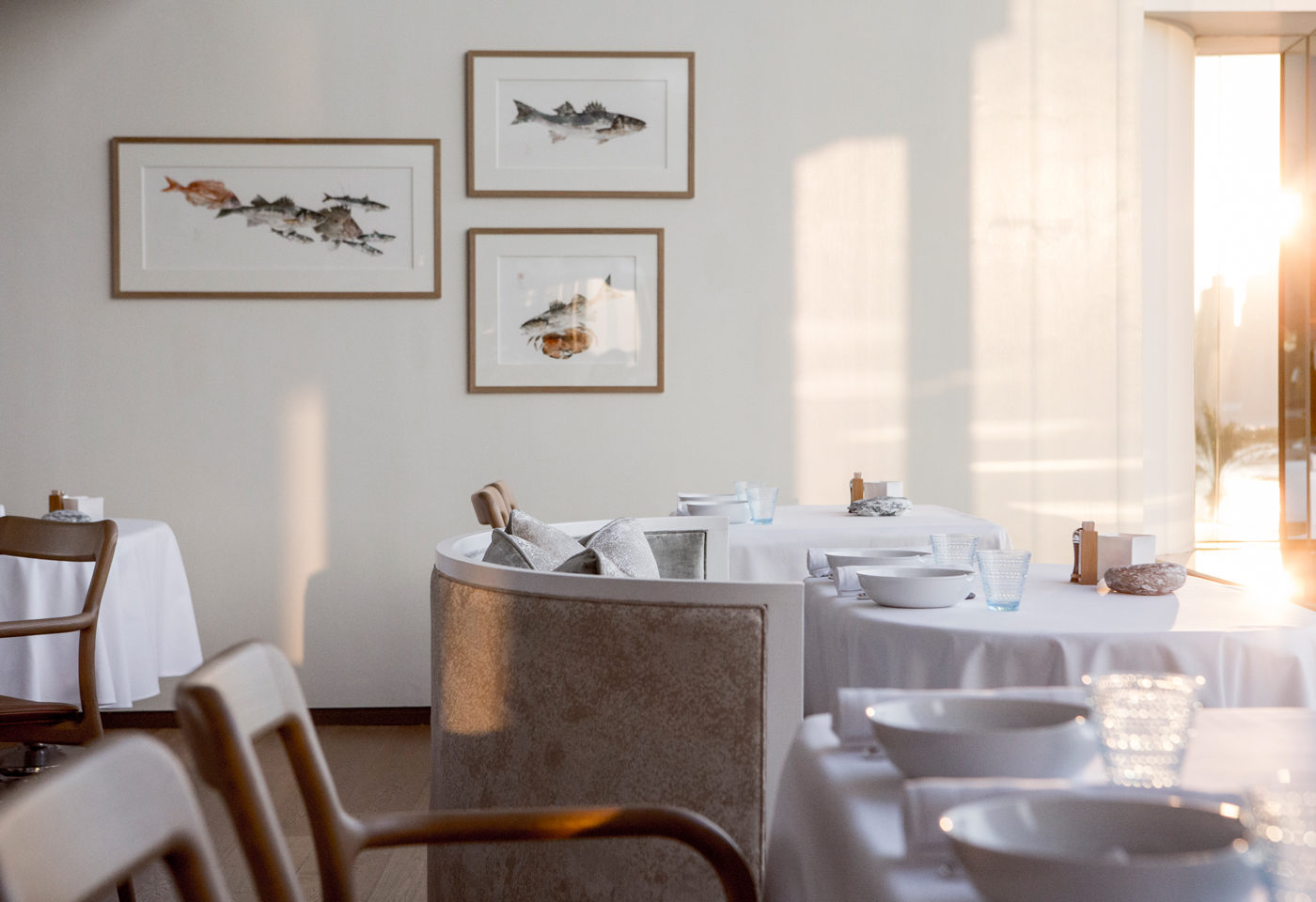 开云（中国） - 坐具|餐椅|办公家具|设计师家具|布兰卡餐椅